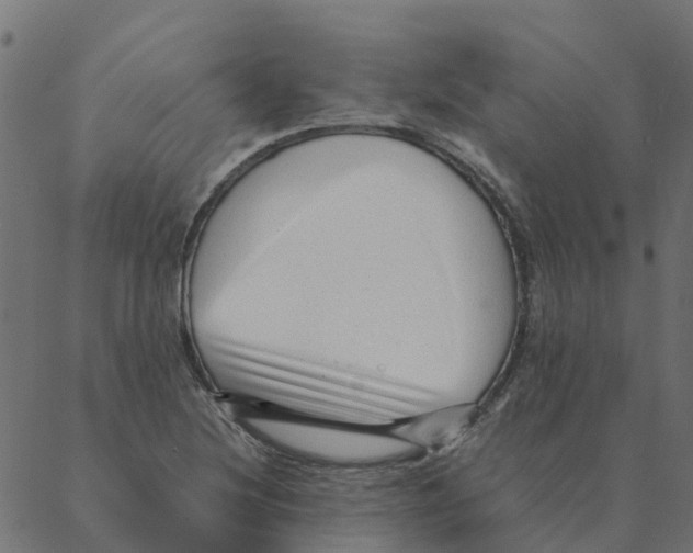 X0000087391220200705181259