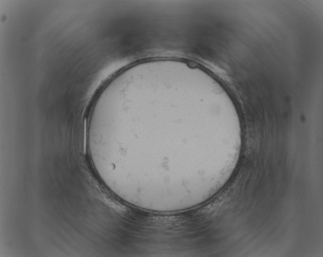 X0000087391223200705181259