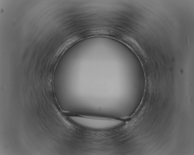 X0000087391225200705181259