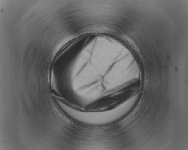 X0000087391226200705181259