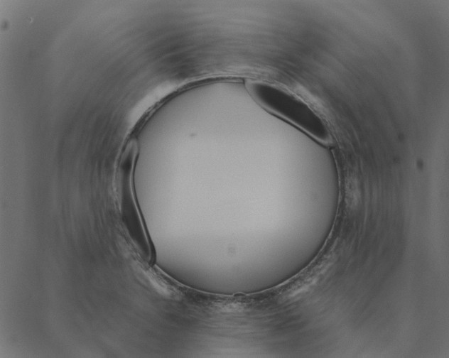 X0000087391230200705181259