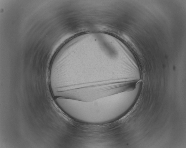 X0000087391232200705181259