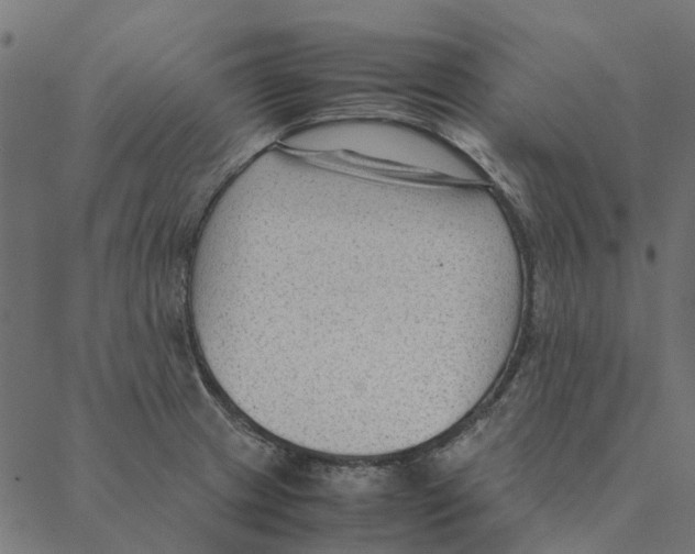 X0000087391233200705181259