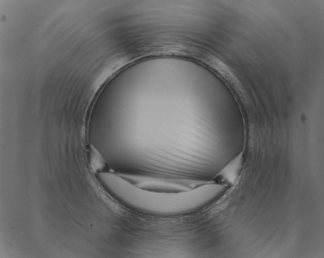 X0000087391234200705181259