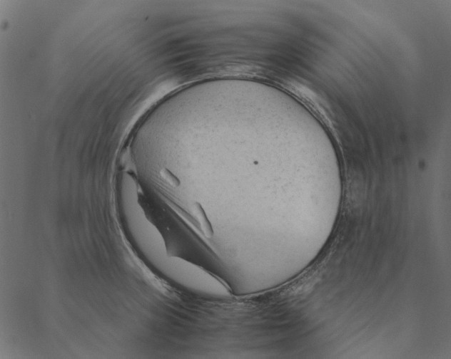 X0000087391235200705181259