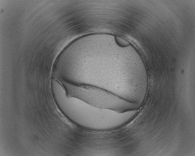 X0000087391236200705181259