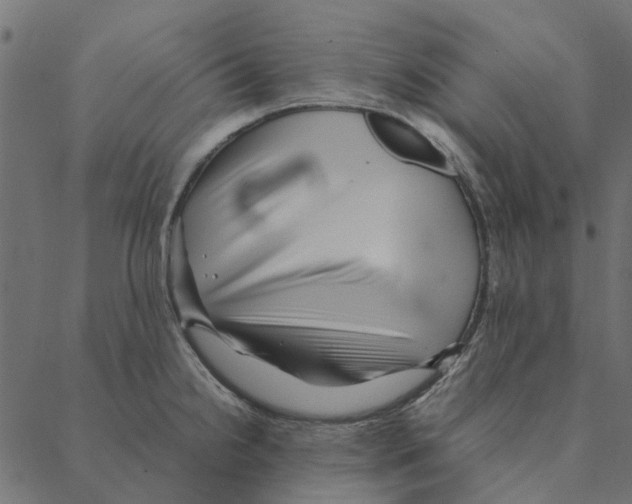 X0000087391238200705181259