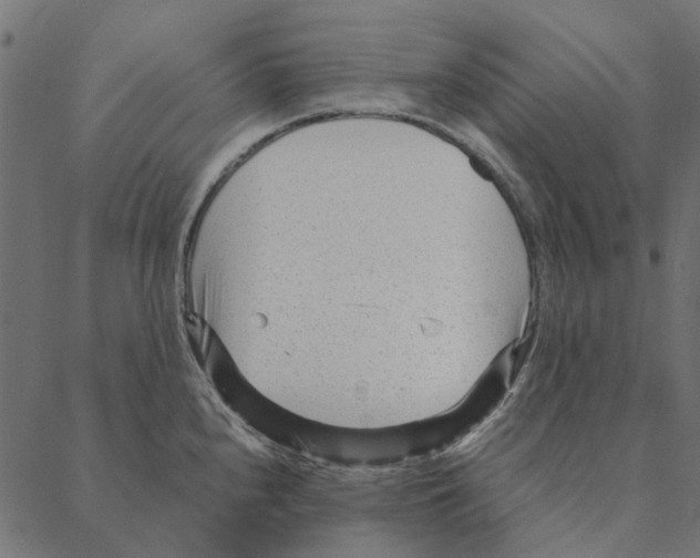 X0000087391240200705181259