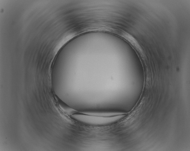 X0000087391242200705181259