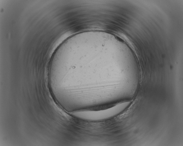 X0000087391243200705181259