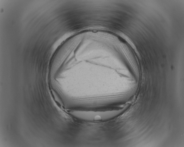 X0000087391245200705181259