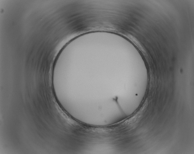 X0000087391246200705181259