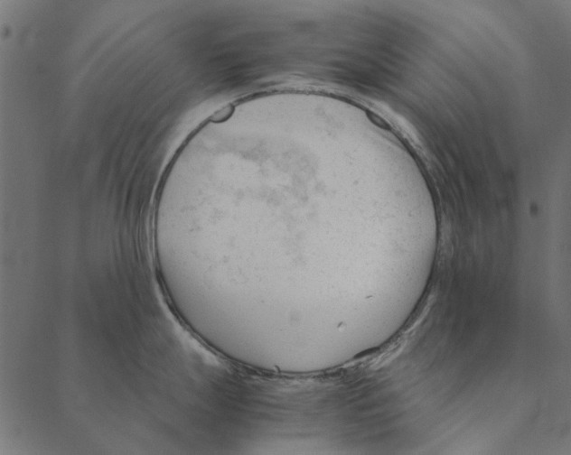 X0000087391247200705181259