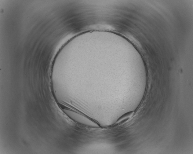 X0000087391248200705181259