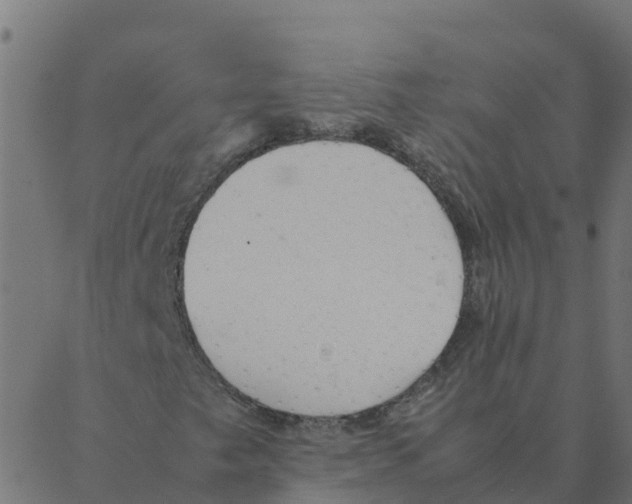 X0000087391249200705181258