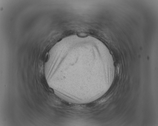 X0000087391251200705181258