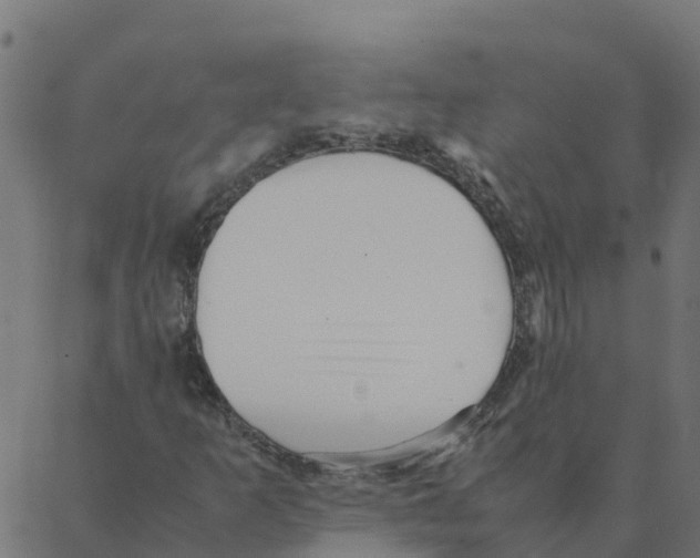 X0000087391253200705181258