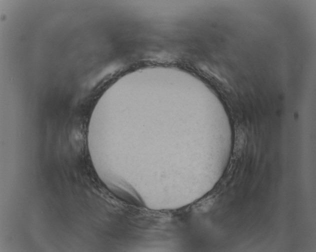 X0000087391254200705181258