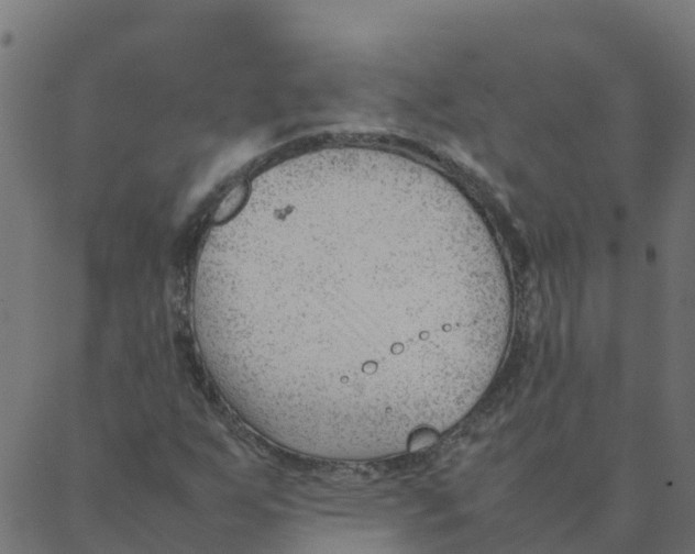 X0000087391255200705181258