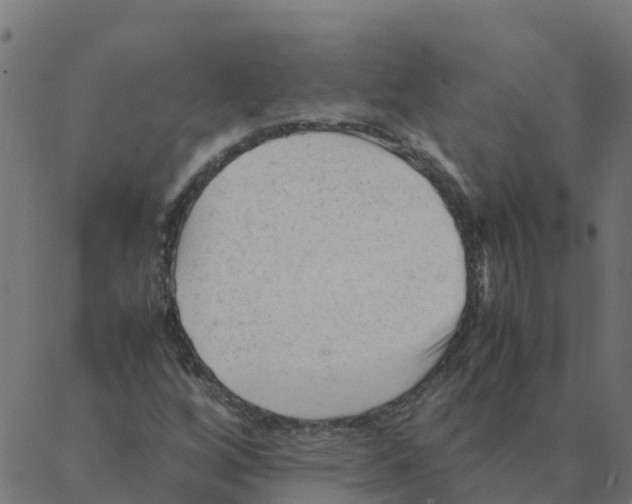 X0000087391256200705181258