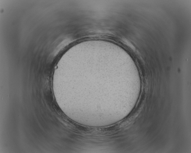 X0000087391259200705181258