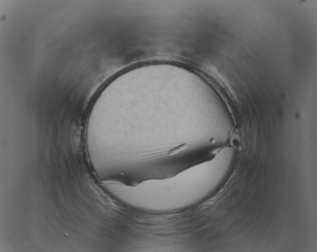 X0000087391260200705181258