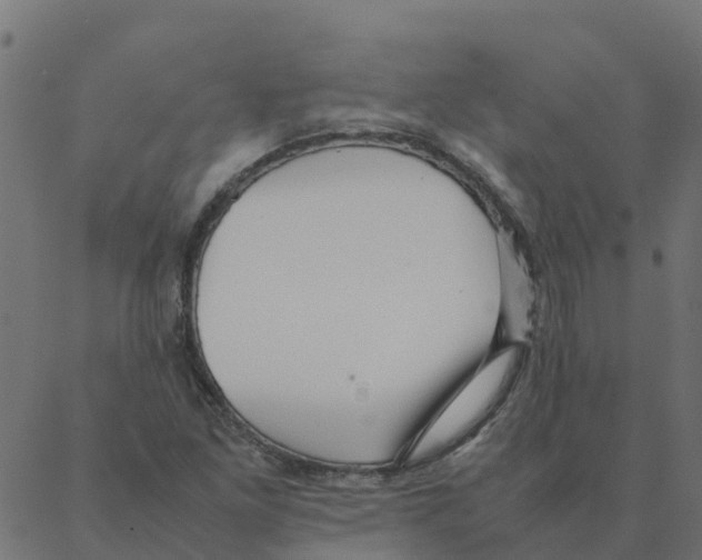 X0000087391261200705181258