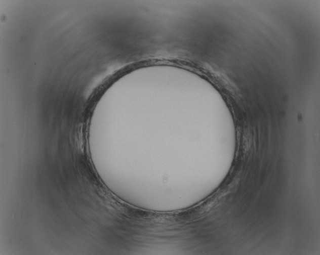 X0000087391262200705181258