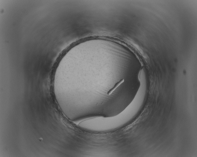 X0000087391264200705181258