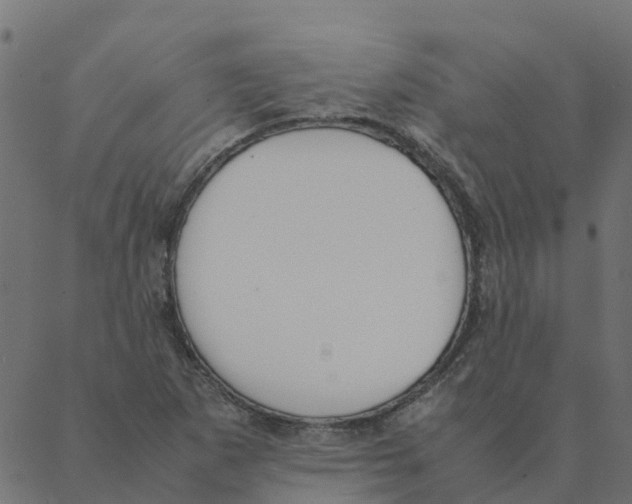 X0000087391265200705181258