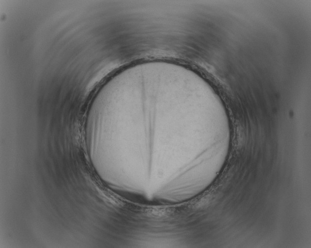 X0000087391266200705181258