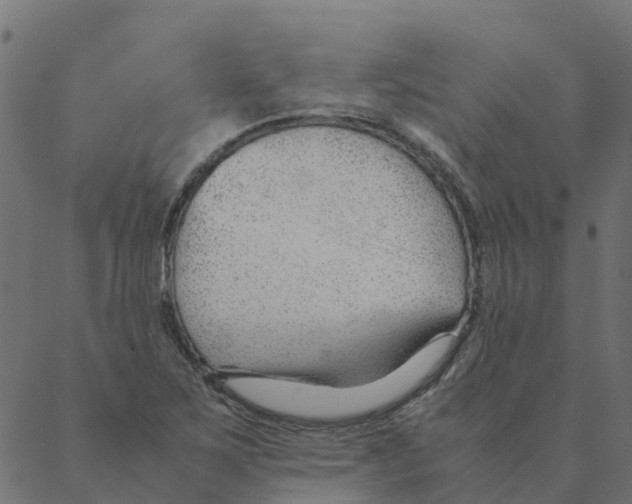 X0000087391267200705181258