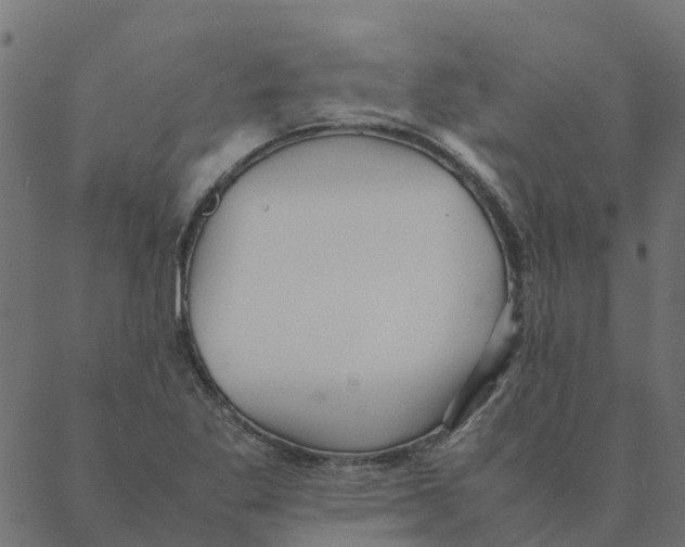 X0000087391269200705181258