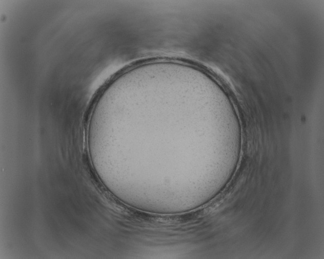 X0000087391271200705181258