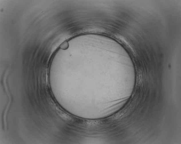 X0000087391274200705181258