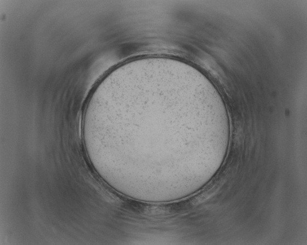 X0000087391275200705181258