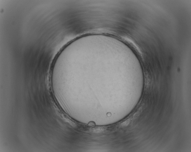 X0000087391278200705181258