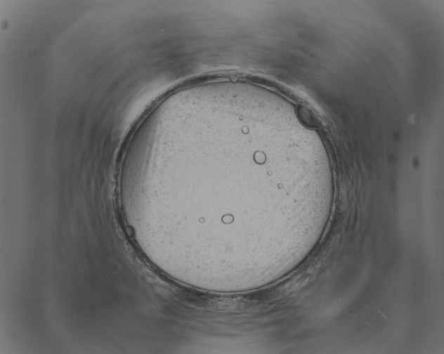 X0000087391279200705181258