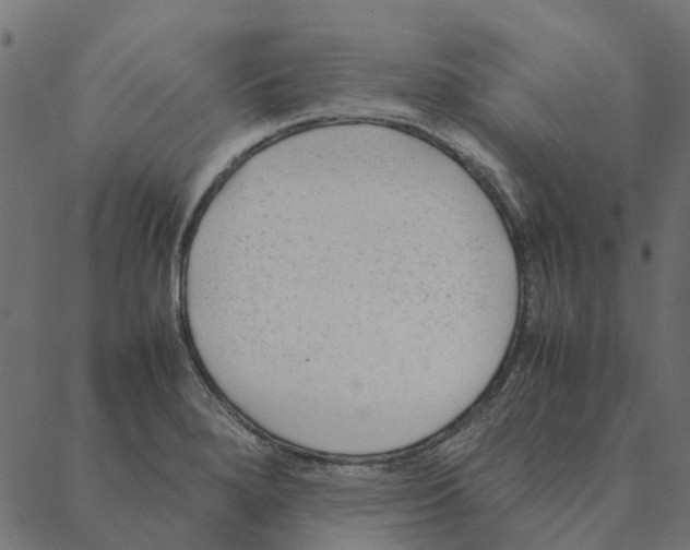 X0000087391280200705181258