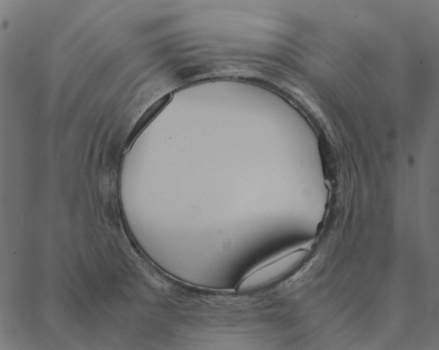 X0000087391281200705181258