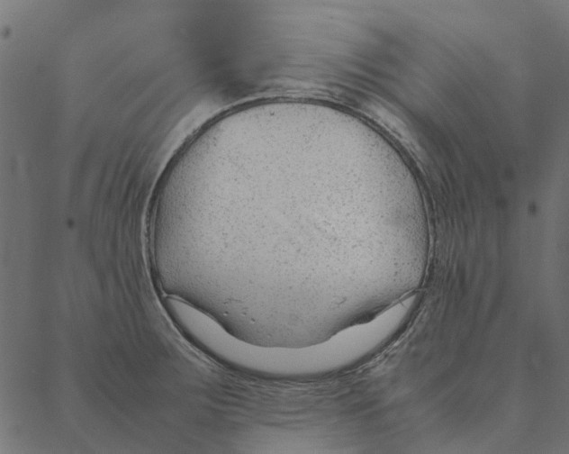 X0000087391283200705181258