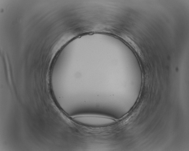 X0000087391285200705181258