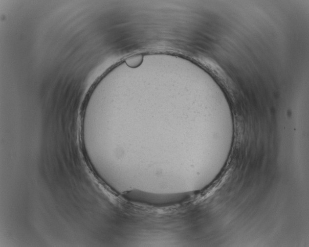 X0000087391286200705181258