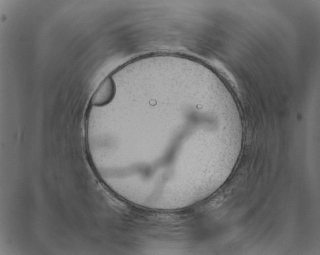 X0000087391287200705181258