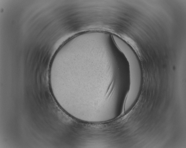 X0000087391288200705181258