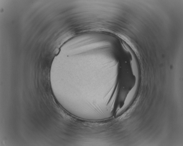 X0000087391289200705181258