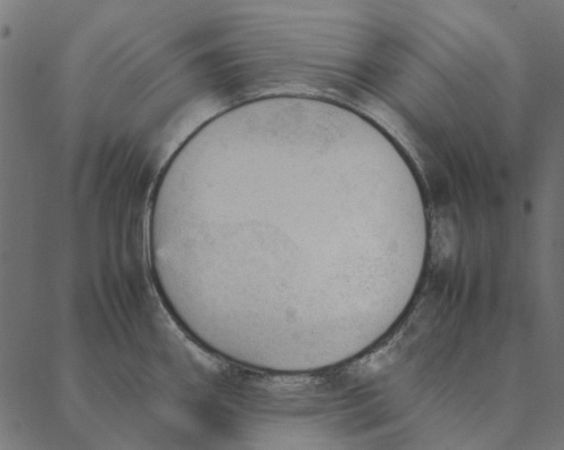 X0000087391290200705181258