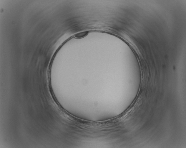 X0000087391291200705181258