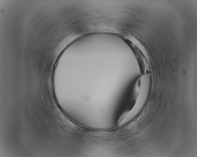 X0000087391293200705181258