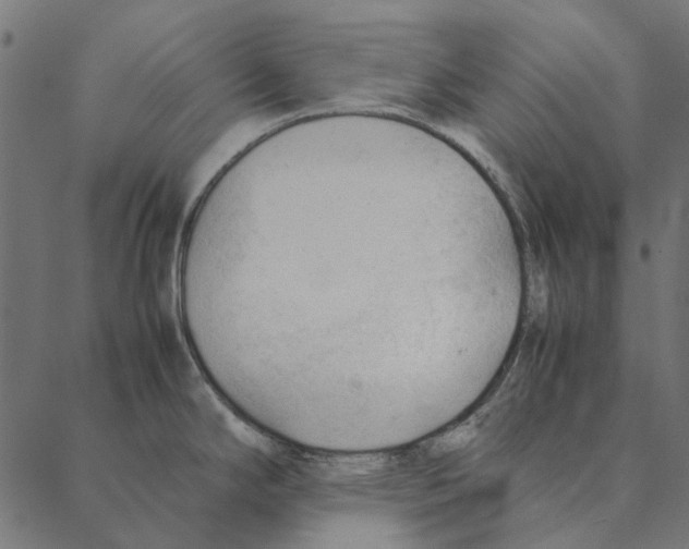 X0000087391294200705181258